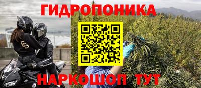 apvp Кингисепп
