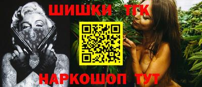 apvp Кингисепп