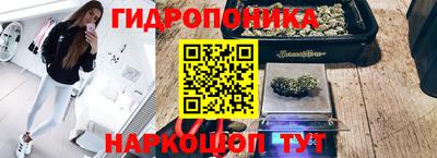 бошки Кинель