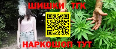 apvp Кингисепп