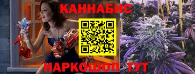 apvp Кингисепп