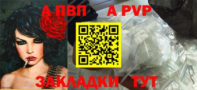 ECSTASY Кудрово