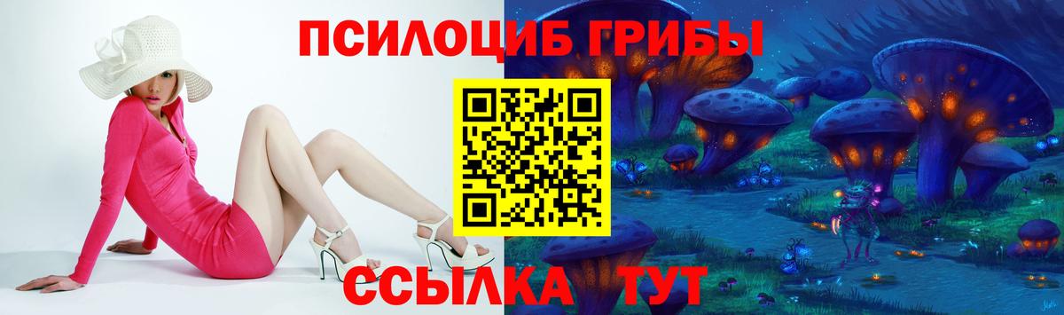 Ишим  купить наркоту  Вход с VPN  Псилоцибиновые грибы прущие грибы 